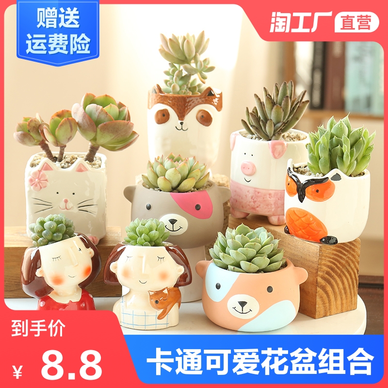 多肉卡通花盆陶瓷清仓简约特价可爱多肉套装组合创意粗陶动物花盆