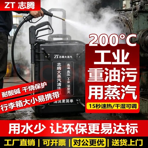 200度大蒸汽高温蒸汽清洗设备
