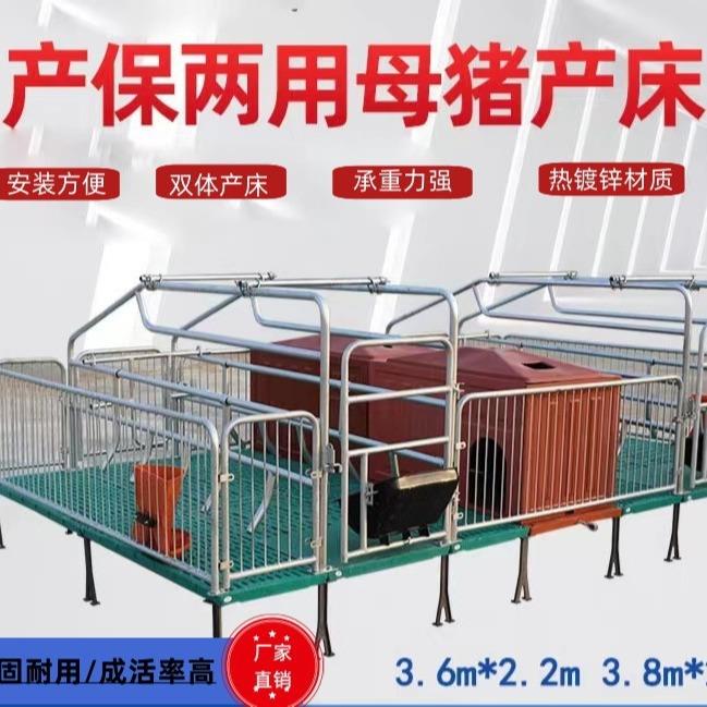 母猪双体产床热镀锌材质带漏粪板母猪产床