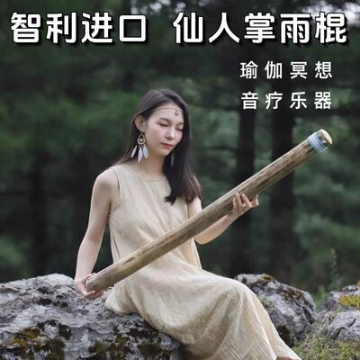 雨棍乐器雨棒仙人掌雨棍仿下雨声音疗愈瑜伽灵修民族乐器雨棍专业