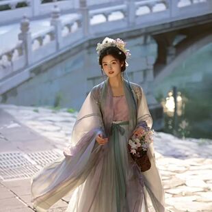 汉服女重工南北朝齐腰吊清冷女古装宋制大袖衫唐朝国风服宋制神仙