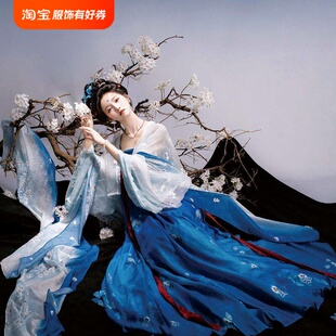 清冷古风春夏秋蓝调时刻 齐胸襦裙大袖 汉服女唐制法门寺披衫 一片式