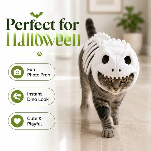 跨境新款 Dinosaur Skeleton Cat Costume 夜光恐龙骨架猫咪服装