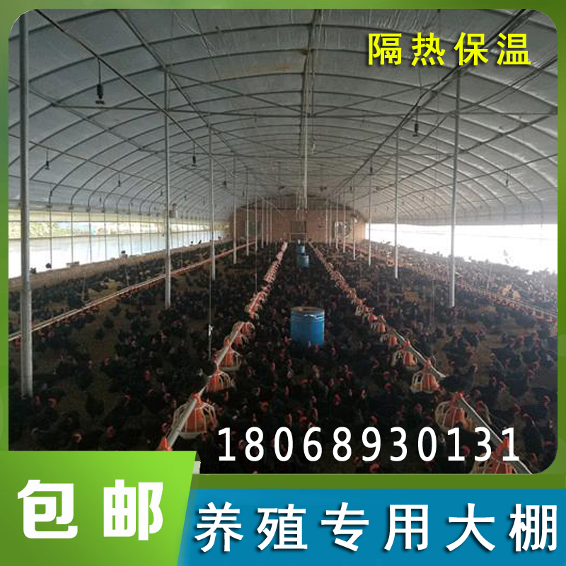 极速搭建钢管架全套养殖钢管鹅椭圆管舍保温兔LQ骨架P大棚羊牛圈