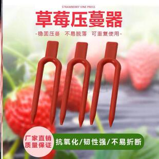 极速西瓜秧固定器草莓甜瓜育苗叉子农用种植压蔓器V大棚植株固定