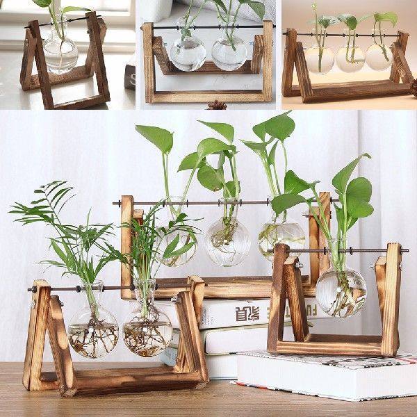 新品Bonsai Decor flowesr vase Plant Transparent Vase Wooden
