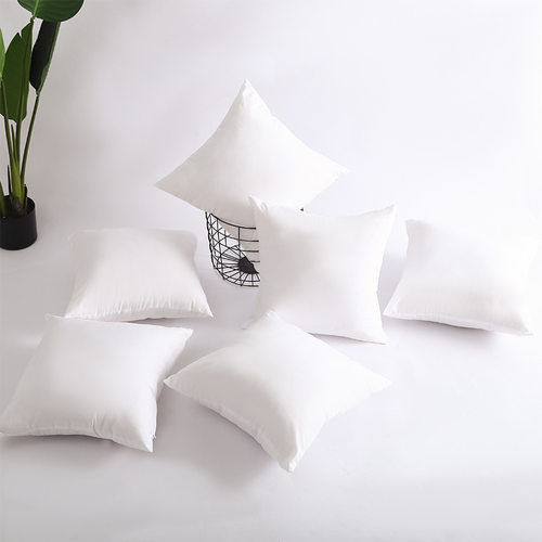 新品Pillow corej sofa pillows core back cushion Home office