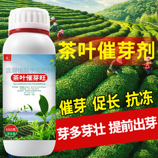 茶叶专用催芽剂叶面肥茶树爆芽崔芽剂催芽素芽丰香腐殖酸水溶肥