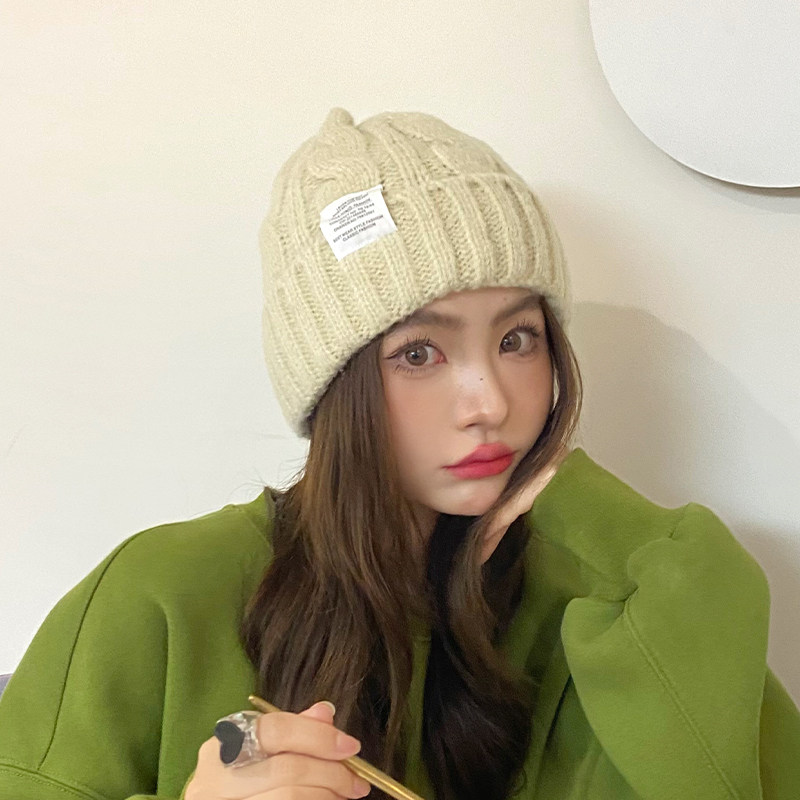 帽子女秋冬保暖麻花毛线帽韩版复古贴布加厚糖果色针织护耳套头帽
