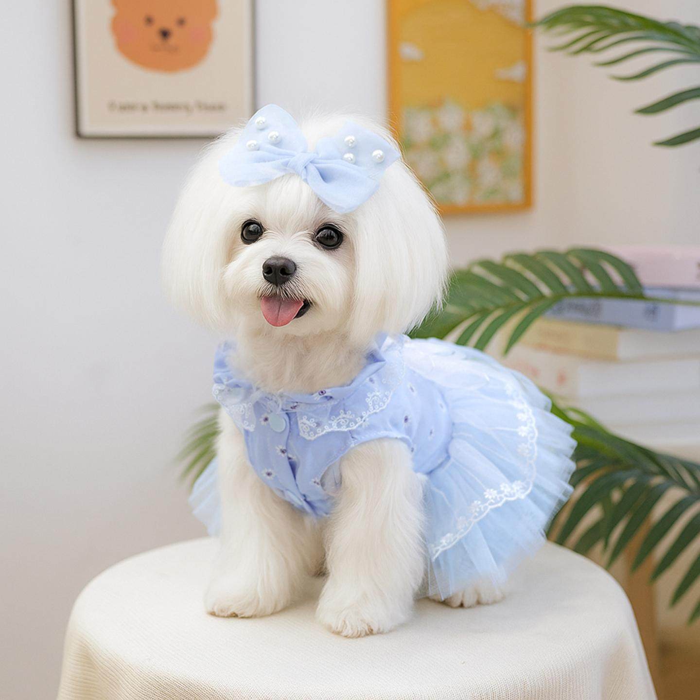 现货宠物服装宠物小狗猫咪蓝色珍珠纱公主蝴蝶结发夹小型犬狗,模玩/动漫/周边/娃圈三坑/桌游,棉花娃娃场景道具娃屋,淘宝优惠券,粉丝福利购,淘宝优惠卷