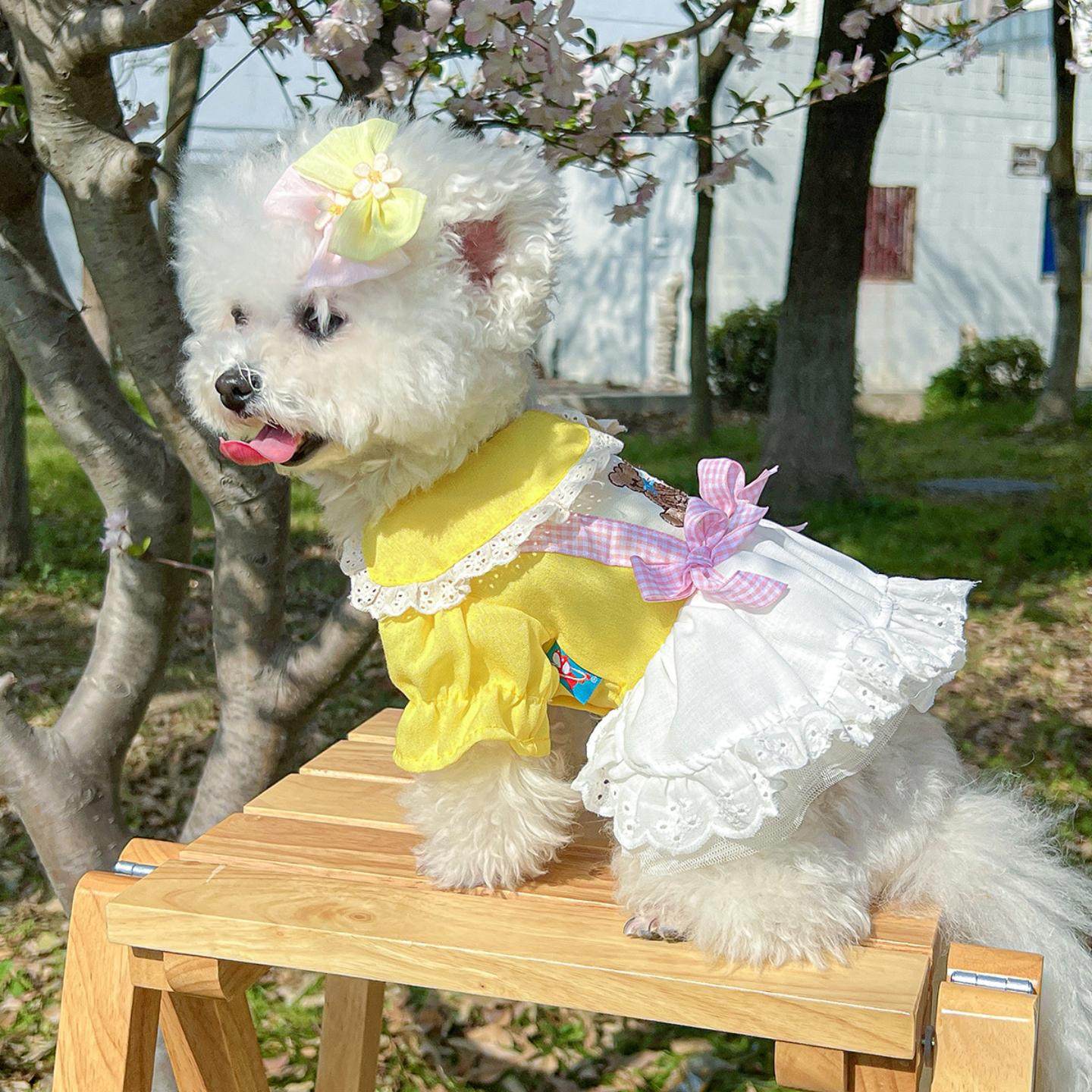 现货宠物服装宠物小狗猫咪衣服可爱小型犬春夏新款小熊舞曲纱裙,模玩/动漫/周边/娃圈三坑/桌游,棉花娃娃场景道具娃屋,淘宝优惠券,粉丝福利购,淘宝优惠卷