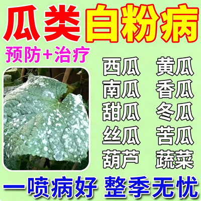 瓜类白粉病专用药西瓜青黄瓜甜瓜南瓜冬瓜香瓜果蔬菜叶白斑杀菌剂