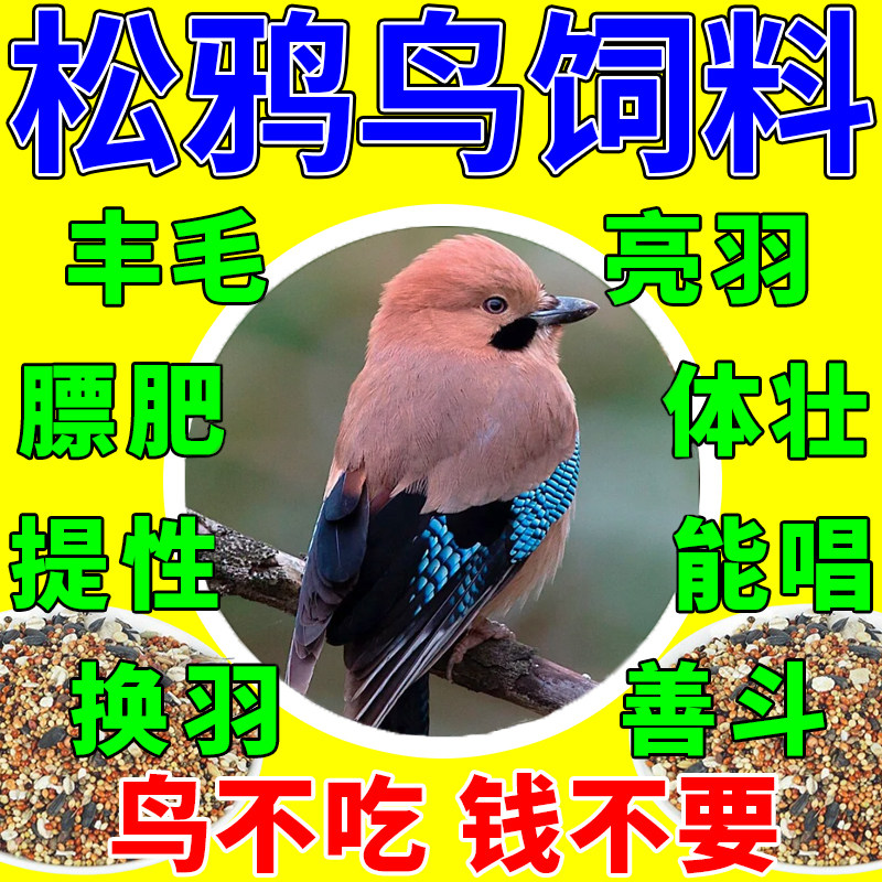 松鸦饲料八哥幼鸟雏崽专用粮喜鹊鹦鹉鹩哥鸟食乌鸫红嘴山鸦蓝鹊粮