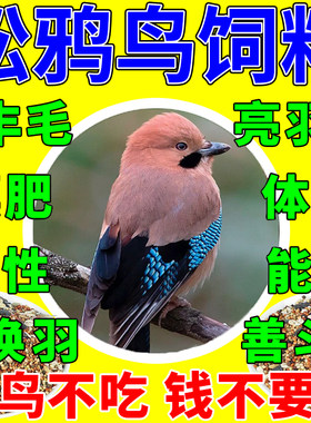 松鸦饲料八哥幼鸟雏崽专用粮喜鹊鹦鹉鹩哥鸟食乌鸫红嘴山鸦蓝鹊粮