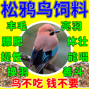 松鸦饲料八哥幼鸟雏崽专用粮喜鹊鹦鹉鹩哥鸟食乌鸫红嘴山鸦蓝鹊粮