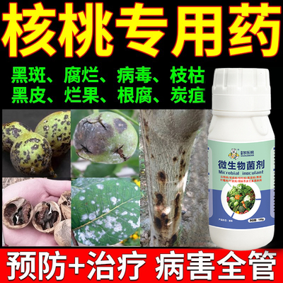核桃树专用药黑皮褐斑白粉腐烂病烂果黑水病通用杀菌剂全治水溶肥