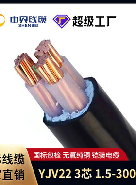 ZC-YJV220.6/1kv铜芯铠装3芯*1.5/2.5/4/6/10/16/120平方电线电缆
