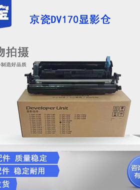 适用京瓷DV-163 DV173显影组件FS-1320D 1370DN P2135DN 1120DN P2035D 1030MFP/DP 1130MFP 2530MFP显影器仓