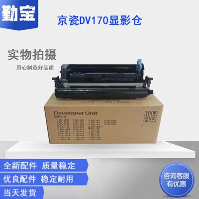 适用京瓷DV-163 DV173显影组件FS-1320D 1370DN P2135DN 1120DN P2035D 1030MFP/DP 1130MFP 2530MFP显影器仓