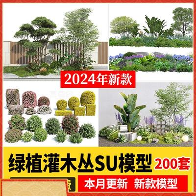绿植灌木丛SU模型庭院绿篱植物景观绿篱墙sketchup草图大师素材库