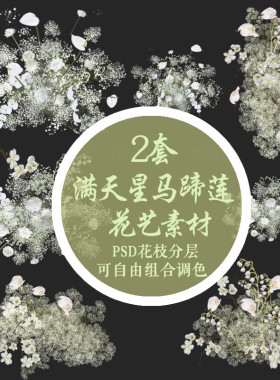 白绿色小清新韩式手绘婚礼婚庆满天星马蹄莲花艺花材组合分层素材