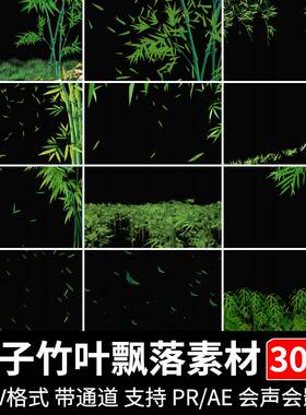 绿色竹叶飘落竹林竹叶树叶绿叶竹子pr/ae透明通道mov合成视频素材