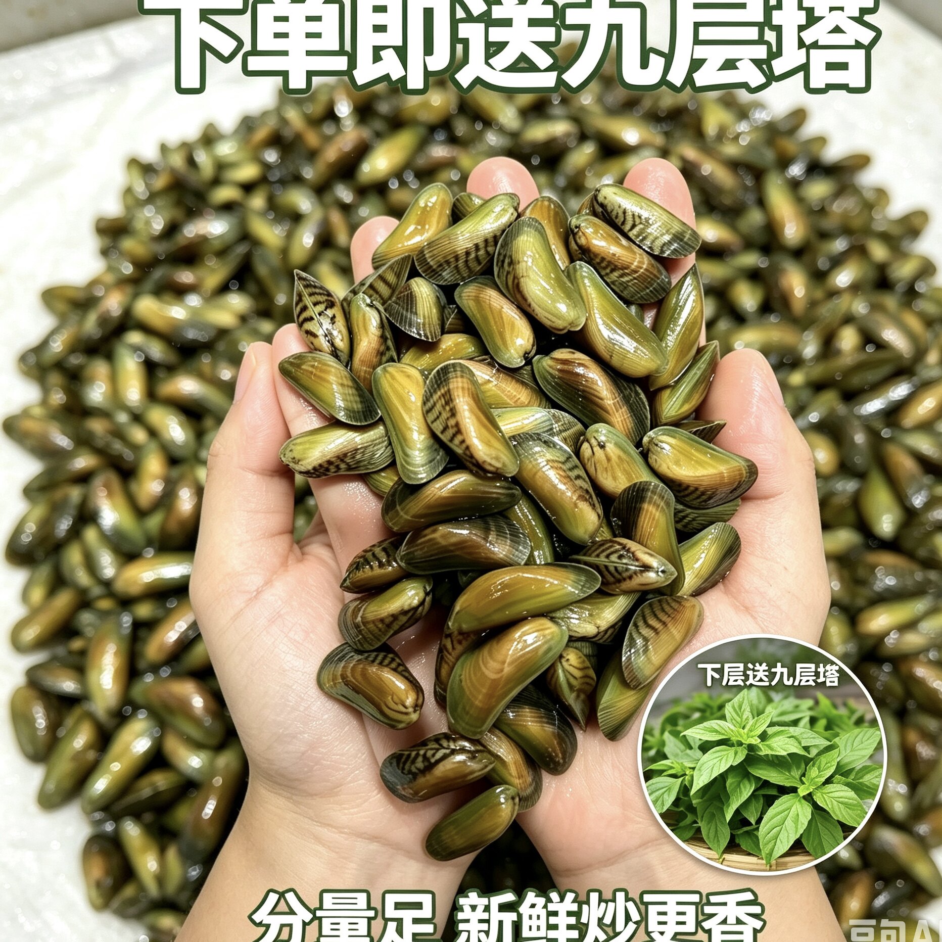 广东潮汕鲜活海瓜子薄壳当日捕捞活水吐沙赠送金不换焖煮炒下酒吃