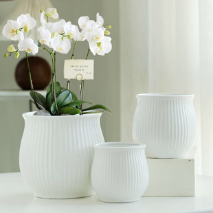 陶瓷花盆北欧 ins风亚光简约室内蝴蝶兰专用郁金香绿萝大号绿植花