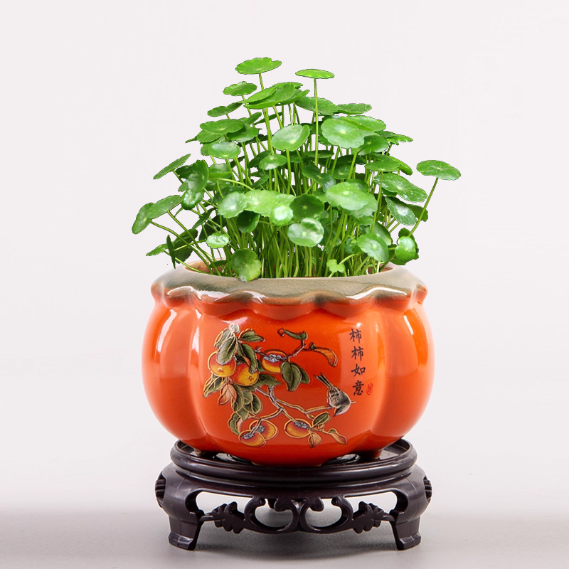 创意绿萝铜钱草水培荷花盆陶瓷个性特价清仓无孔水养植物水仙花盆