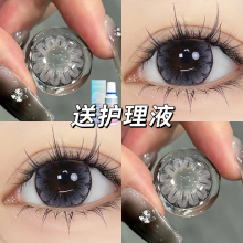 2片装黛西灰美瞳半年抛14.5MM大直径隐形近视眼镜年抛正装官网TN