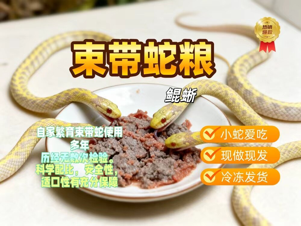 束带蛇饭白化饲料束带新鲜肉泥现做现发正宗包邮科学配方成品