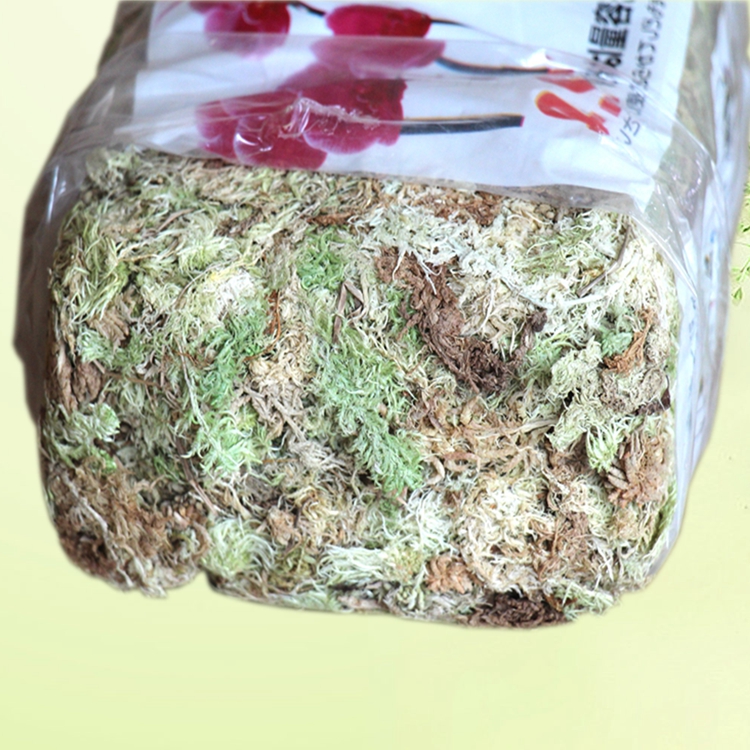 干水苔兰花蝴蝶兰专用水苔栽培介质营养土铁皮石斛育苗种植干苔藓 E值省