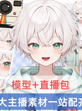 live2d虚拟主播成品公皮男薄荷男孩抖音直播虚拟形象设计虚拟主播