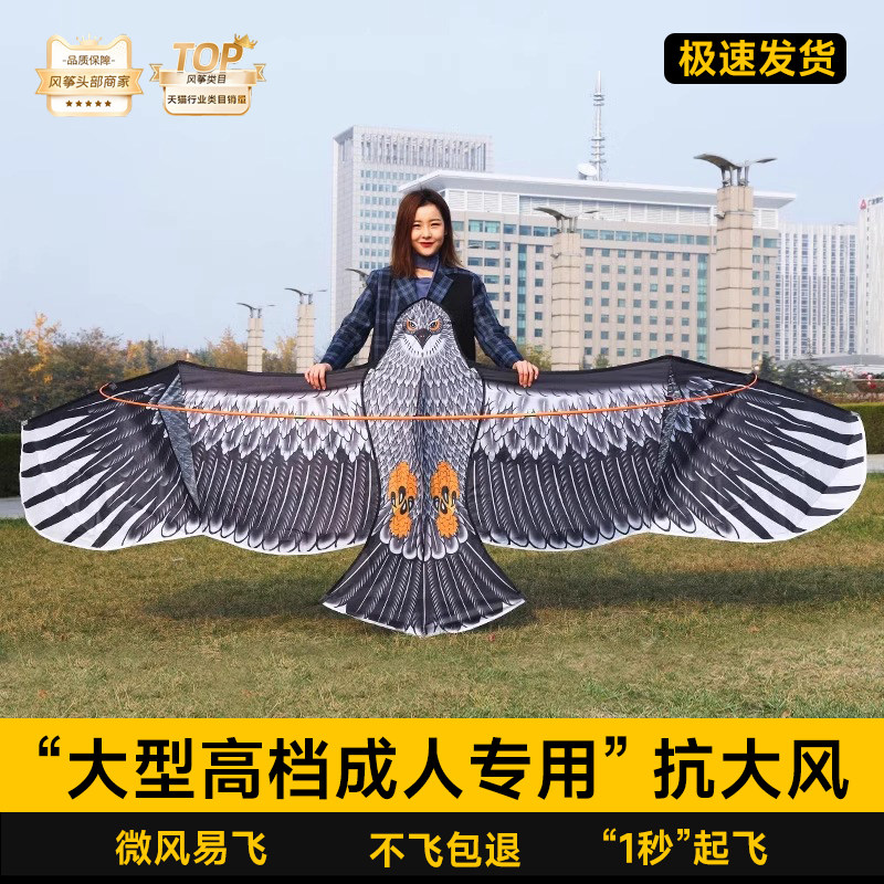 【抗大风】大型高档大人专用风筝图片