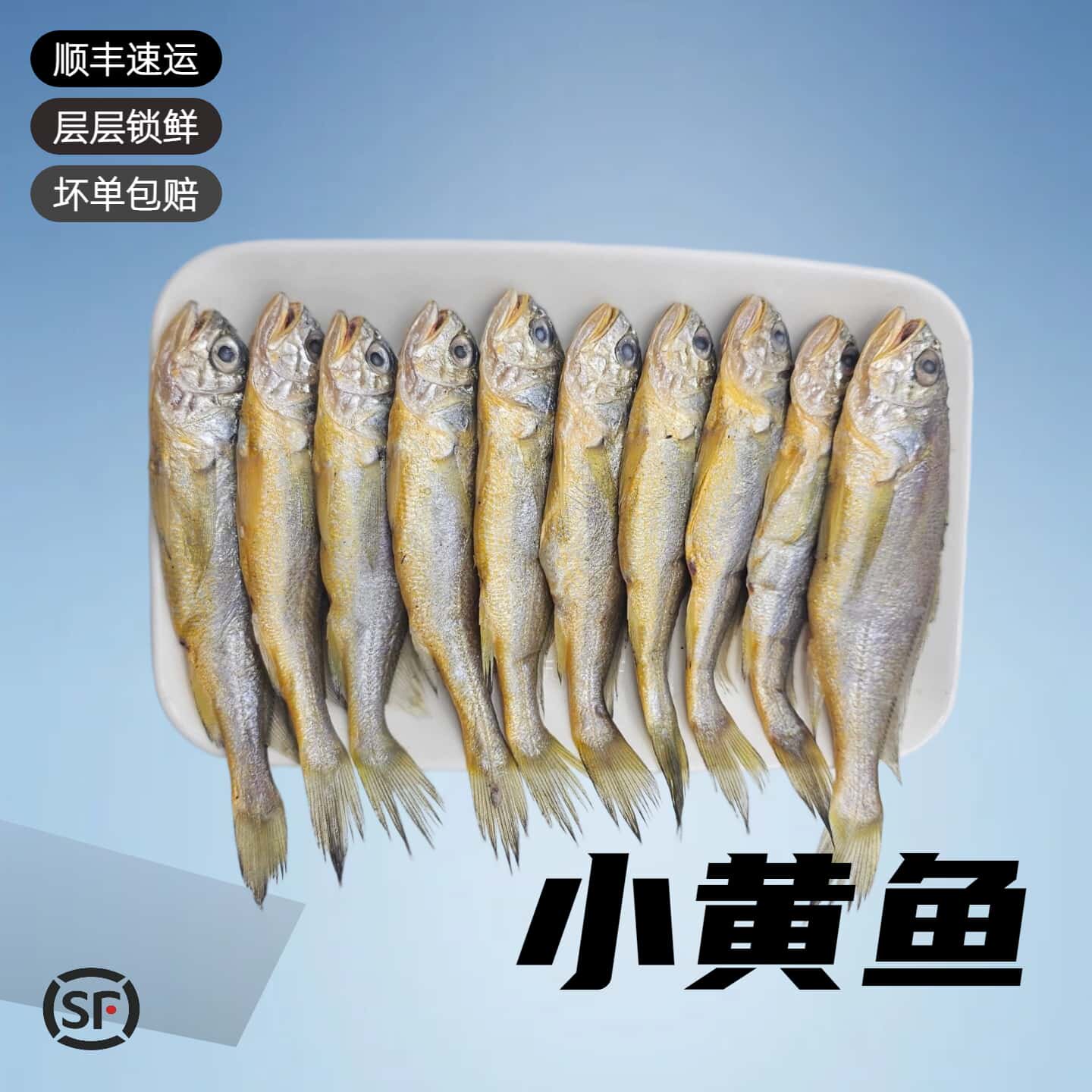 小黄鱼浙江舟山黄花鱼黄鱼新鲜海捕野生冷冻烧烤顺丰速运坏单包赔