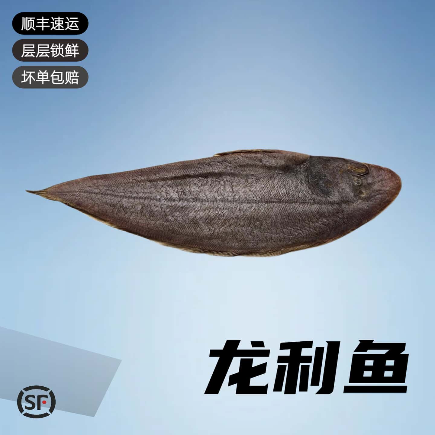 龙利鱼海鲜鳎目鱼牛舌头鱼踏板鱼鲜活冷冻宝宝辅食海捕新鲜顺丰