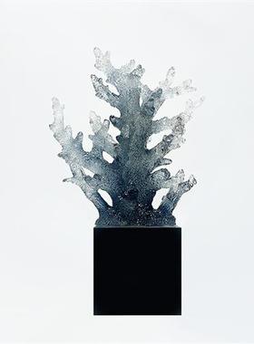 创意玄关电视柜珊瑚透明树脂摆件办公桌客厅家居软装工艺品雕塑