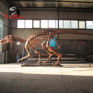 博物馆恐龙古生物化石扶绥龙禽龙骨架骨骼大型逼真玻璃钢模型标本