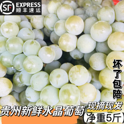 贵州新鲜水果水晶葡萄甜多汁包邮