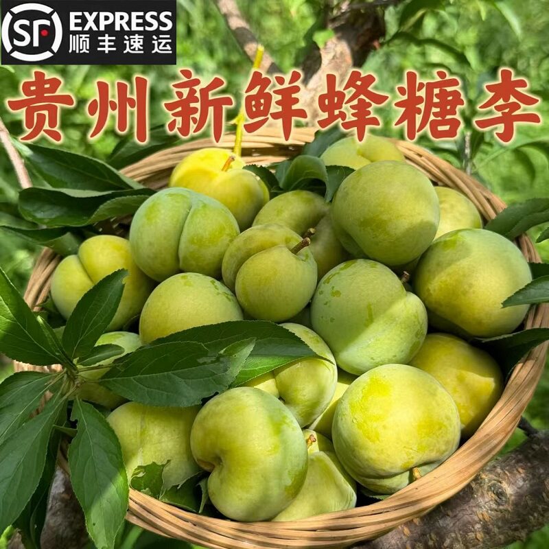 贵州新鲜孕妇水果青脆蜂糖李包邮