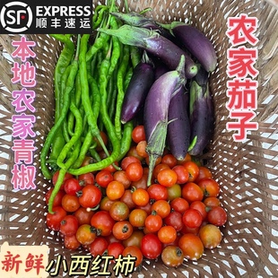 贵州农家特产新鲜蔬菜小西红柿番茄毛辣果青辣椒茄子500g顺丰包邮
