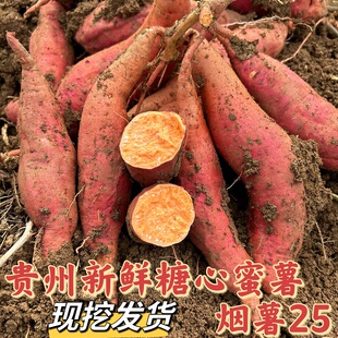 贵州特产现货西瓜红蜜薯新鲜黄沙地番薯地瓜农家25号烟薯糖心流油