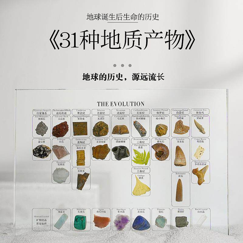 31种天然矿物化石植物手作包埋家居摆件树脂镶嵌摆台高端收藏送礼
