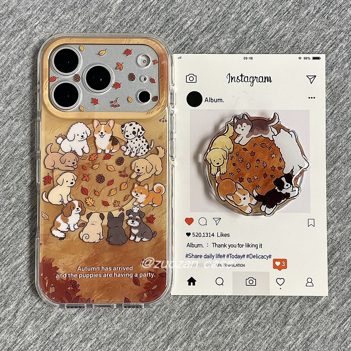 磁吸ins韩风秋天落叶围圈小狗适用苹果17promax手机壳iphone18pro新款16带支架15女17气囊圆边全包防摔保护套