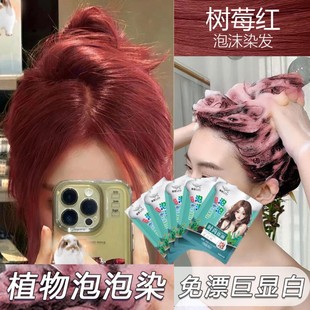 袋装新款树莓红色泡泡染发剂膏植物天然免漂显白学生自己在家染发