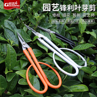 不锈钢盆景修剪造型专用叶芽剪兰花分苗剪刀修芽剪修枝芽切剪工具