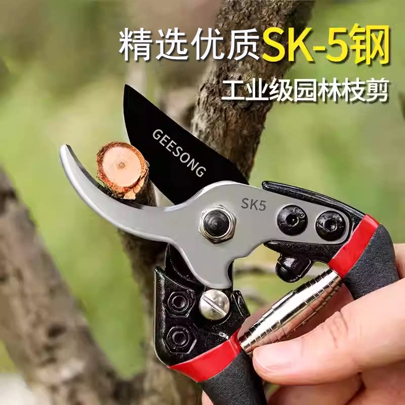 巨正升专业SK5钢修枝剪子图片