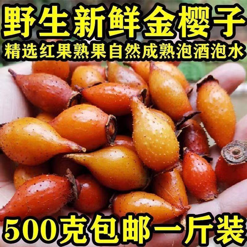 新鲜现摘野生金樱子泡酒专用中药野生材刺梨子山石榴果金英子糖梨