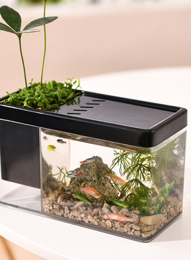 办公室微型鱼缸加厚小型生态缸桌面造景迷你水族diy水草水培箱