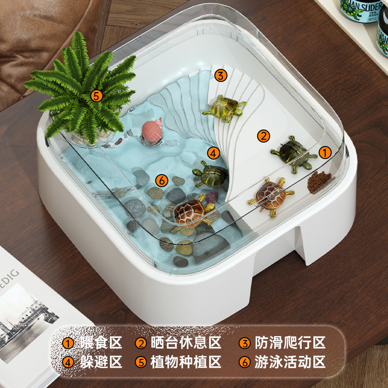 多功能乌龟缸生态造景缸寄居蟹爬宠饲养箱室内桌面宠物鱼缸龟盆,宠物/宠物食品及用品,龟缸,淘宝优惠券,粉丝福利购,淘宝优惠卷